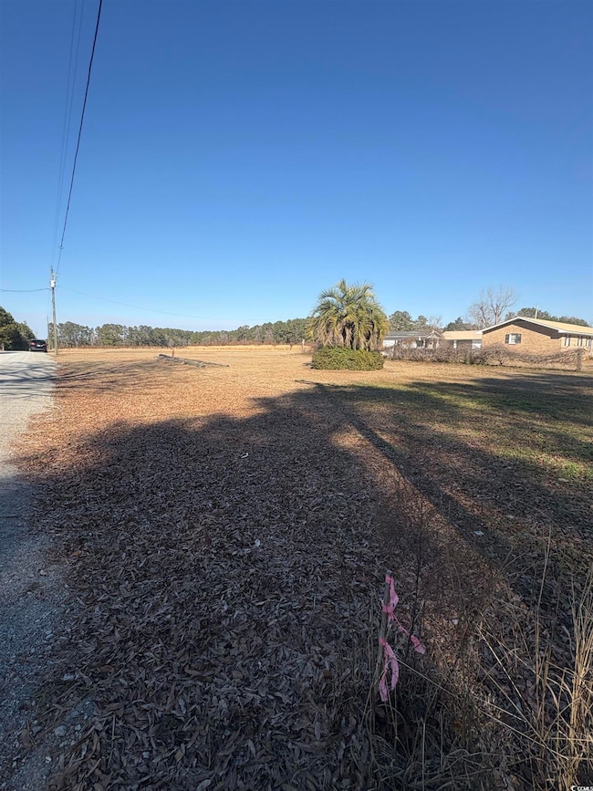 View of yard with a rural view