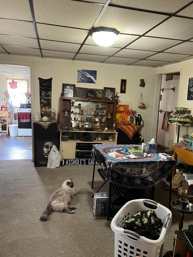 507 N Prospect St, Marion, OH 43302 - photo 6