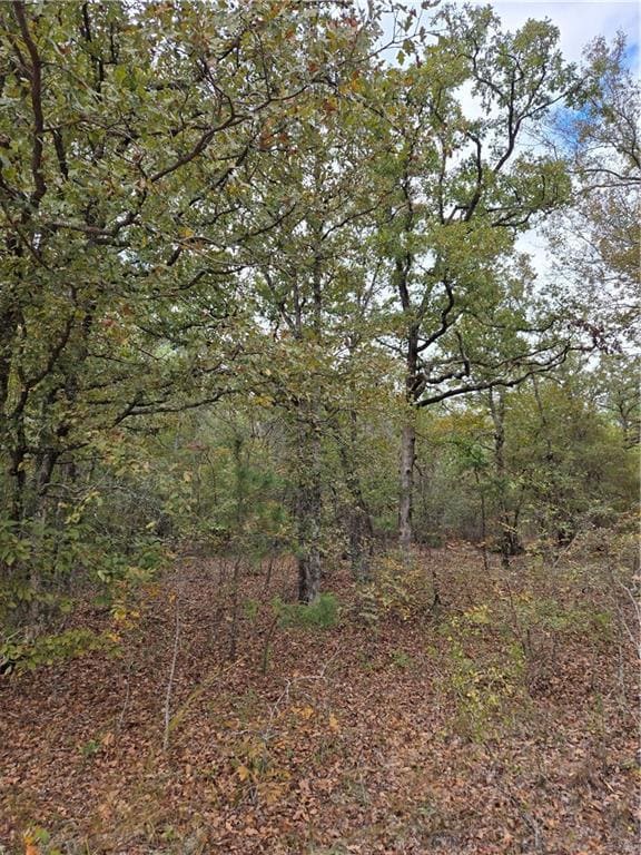 7 Dusty Rd, Seale, AL 36875 - photo 5