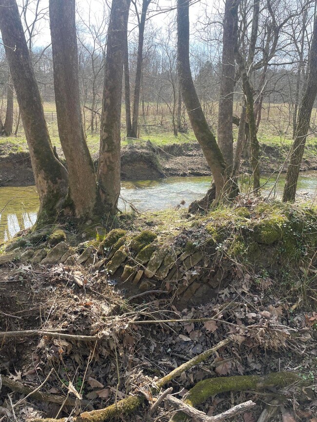 0 Seaville Rd, Willisburg, KY 40078 - photo 2