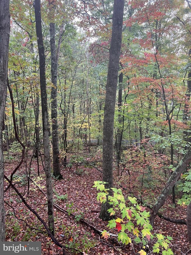 0 Dale Lot 18, Basye, VA 22810 - photo 3