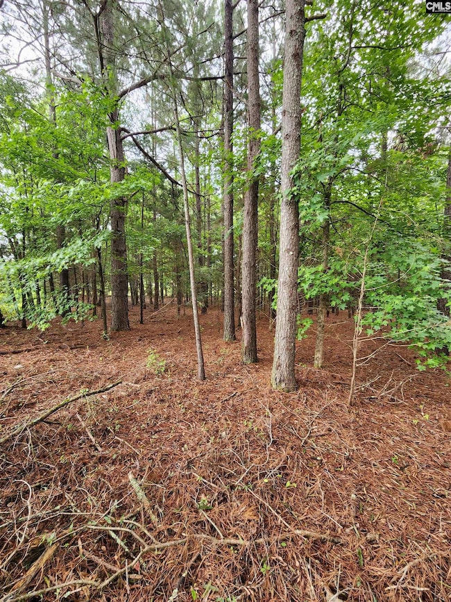 0 Elm St, Prosperity, SC 29127 - photo 2