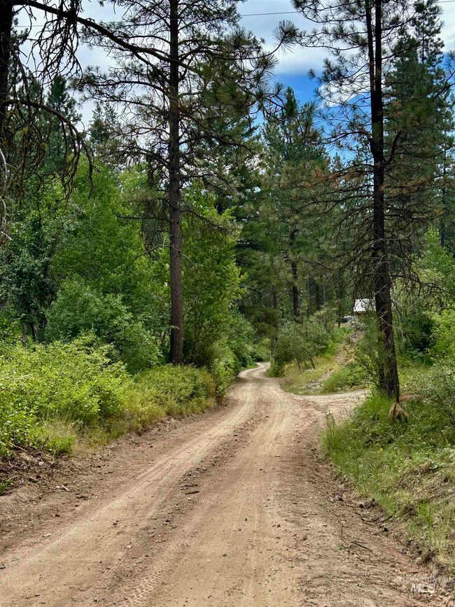 View of dirt / gravel road featuring a wooded view