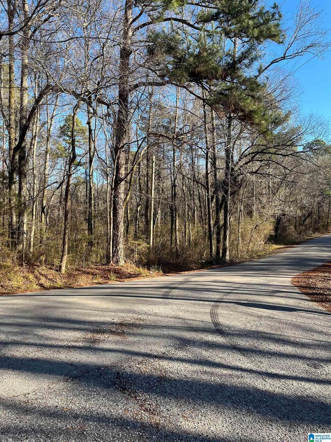 208 Oak Forest Dr unit 1, Birmingham, AL 35217 - photo 2