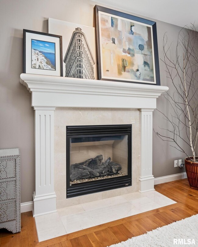 4538 N Tallgrass Ln, Peoria, IL 61615 - photo 6