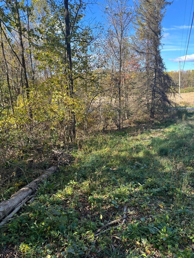 E B Ave Vacant Land (5)