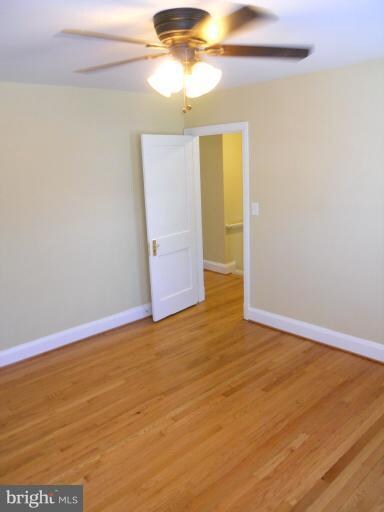 825 Lyndhurst St, Baltimore, MD 21229 - photo 4