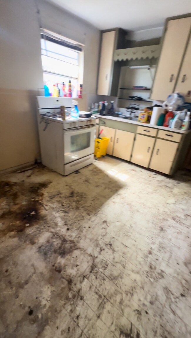 9509 Shoreham St, Houston, TX 77093 - photo 4