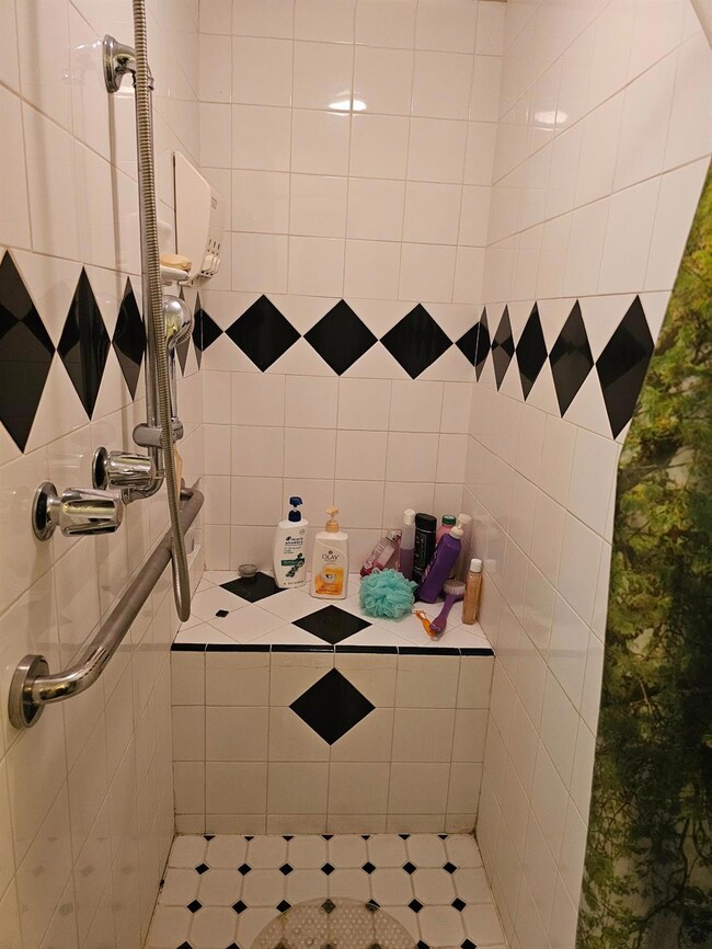 Handicap accessible shower