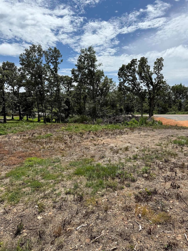 12950 Highway 5, Norfork, AR 72658 - photo 3