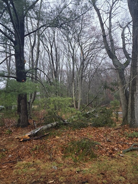 189 Greenwood St, Rockland, MA 02370 - photo 3