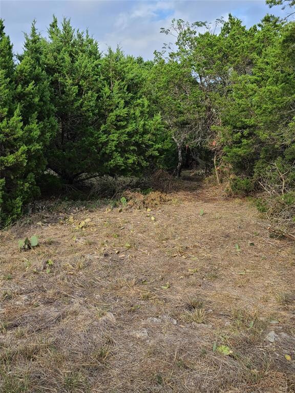 4096 Whitecrest Dr, Whitney, TX 76692 - photo 2