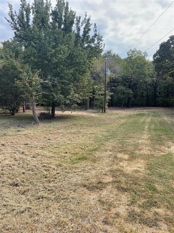 336 Mano Ln, Sadler, TX 76264 - photo 5