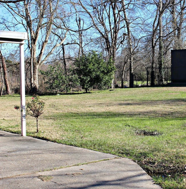 Side Yard