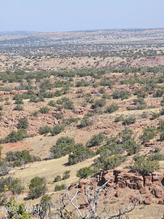 0 N6448, St. Johns, AZ 85936 - photo 5