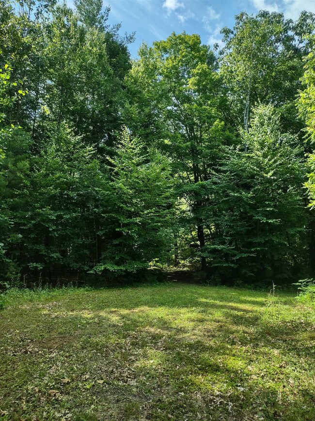 55 Mine Rd unit 17-1, Winchester, NH 03470 - photo 4