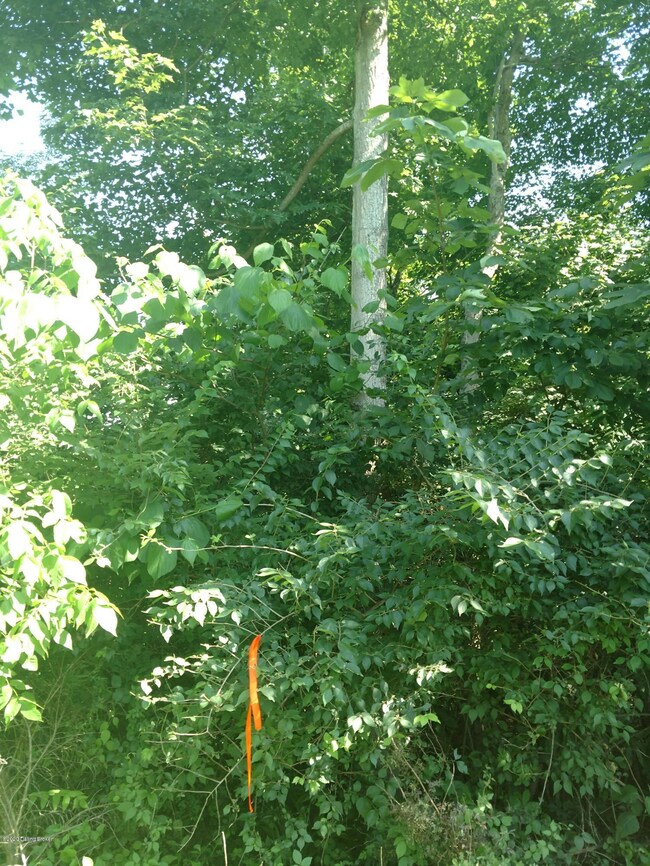 5 S Majors Rd, Saluda Township, IN 47243 - photo 3