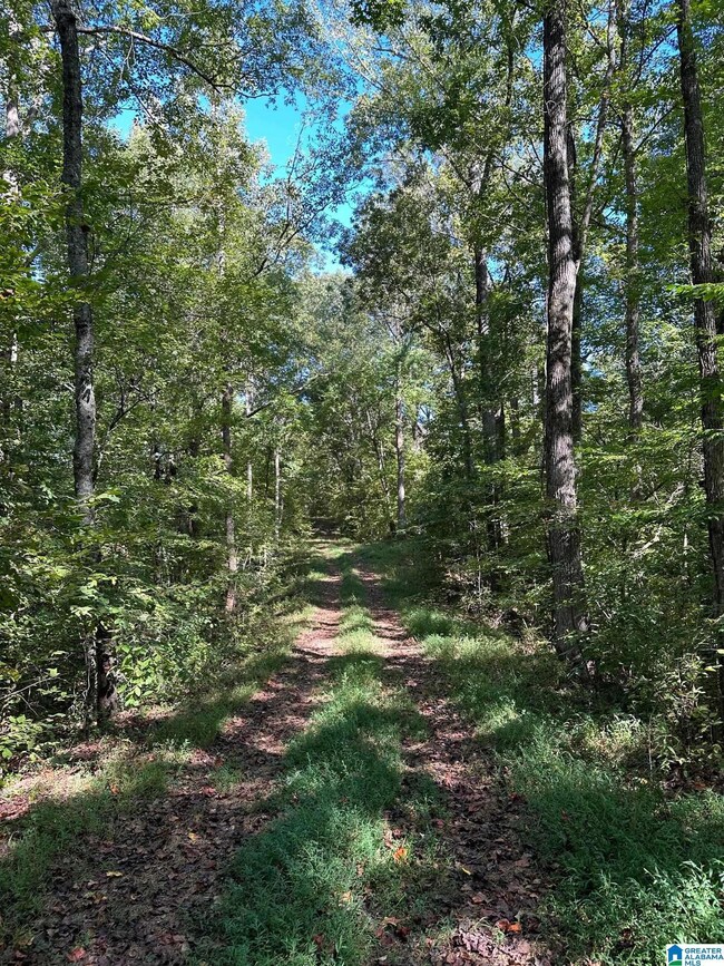 0 County Road 492 unit 1 21400533, Muscadine, AL 36269 - photo 7