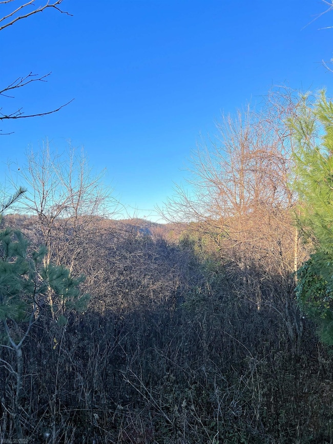 TBD River View Ln, Hiwassee, VA 24347 - photo 2