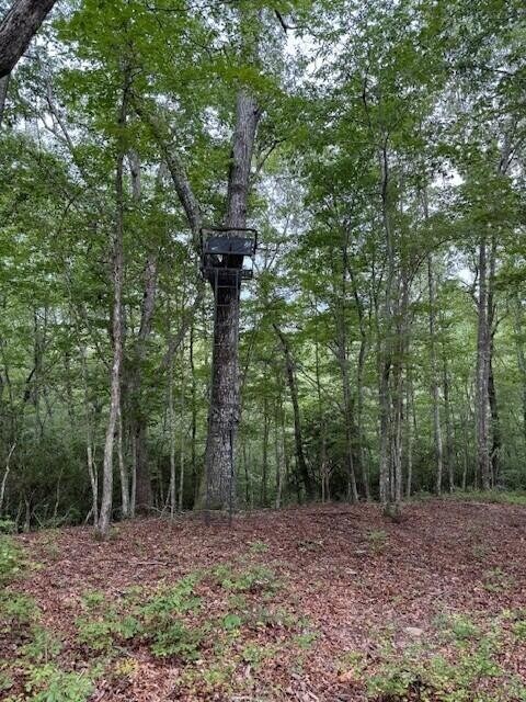 0 S Pittsburg Mountain Rd unit RTC2965466, South Pittsburg, TN 37380 - photo 4