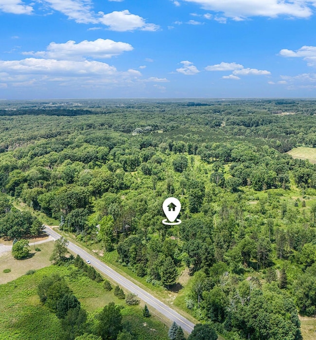 2714 E Hawley Rd, Custer, MI 49405 - photo 4