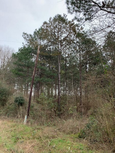 000 Dinan Salem Rd, Tylertown, MS 39667 - photo 6