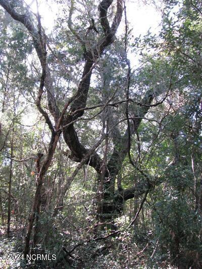 234 N Bald Head Wynd, Bald Head Island, NC 28461 - photo 4