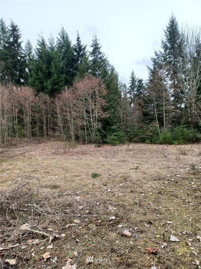 0 190th St E unit NWM1903983, Orting, WA 98360 - photo 5