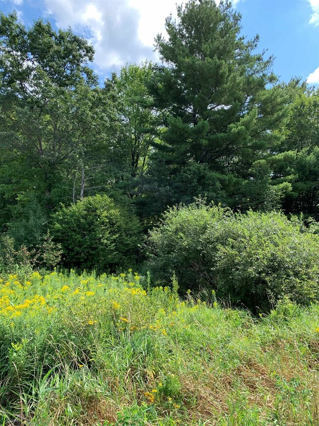 W16471 Old 14 Rd, Rice Lake, WI 54868 - photo 4