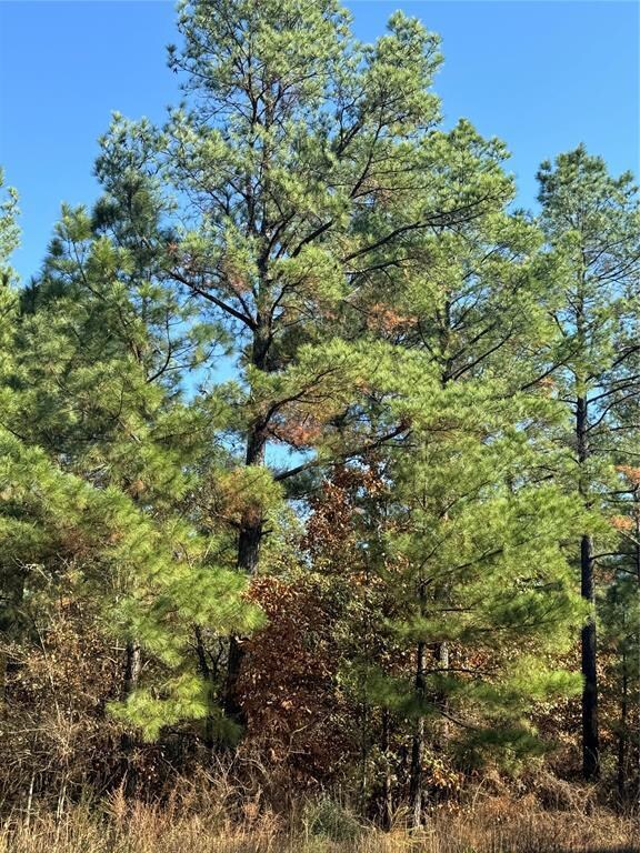 205 Bear Cedar Trail, Broken Bow, OK 74728 - photo 4