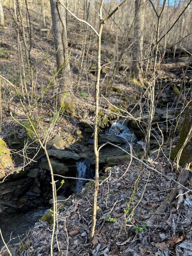 6550 Highway 70 E, Cookeville, TN 38506 - photo 7