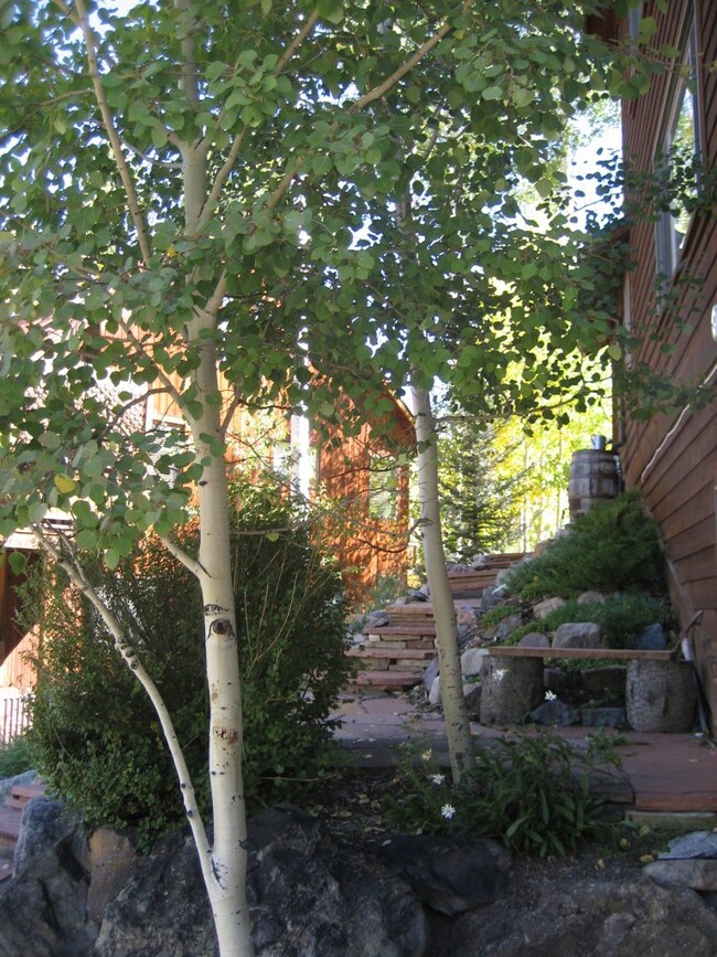 Side Patio