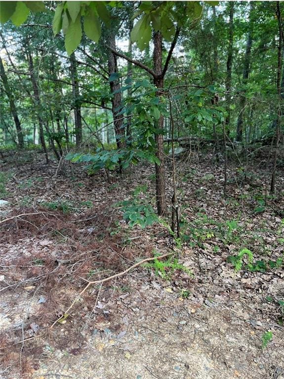 00 Cannon Heights Dr, Asheboro, NC 27205 - photo 7