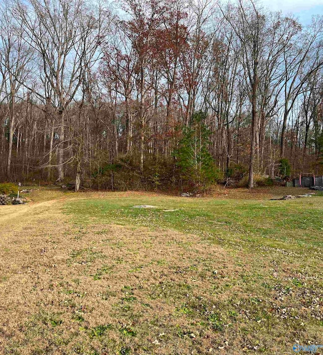 105 Amber Way, Priceville, AL 35603 - photo 5