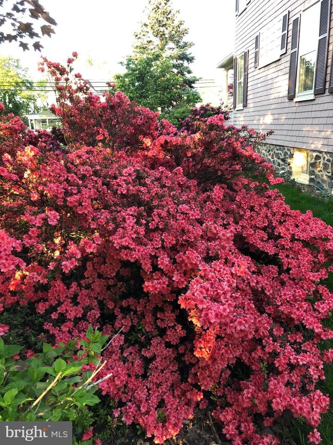 22 Newburg Ave, Catonsville, MD 21228 - photo 5