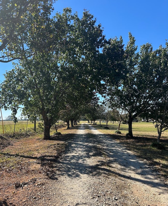 515 County Road 816, Nacogdoches, TX 75964 - photo 2