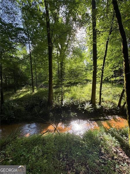 0 Saffold Rd unit 10560494, Buckhead, GA 30625 - photo 7