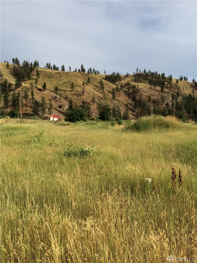 0 Lot 8 Burma Rd unit 1153300, Methow, WA 98834 - photo 5