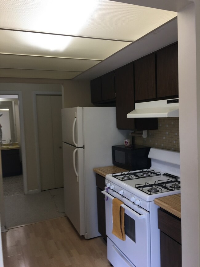 1611 Ashland Ave unit 303, Des Plaines, IL 60016 - photo 7