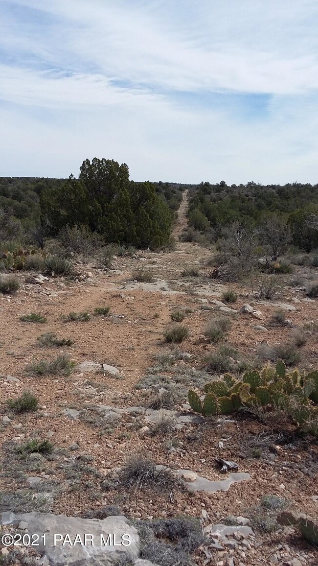 Lot 646 Denny 5 Rd Rd, Seligman, AZ 86337 - photo 7