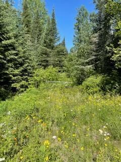 Lt0 - Lt1 U S Highway 51, Harshaw, WI 54529 - photo 6
