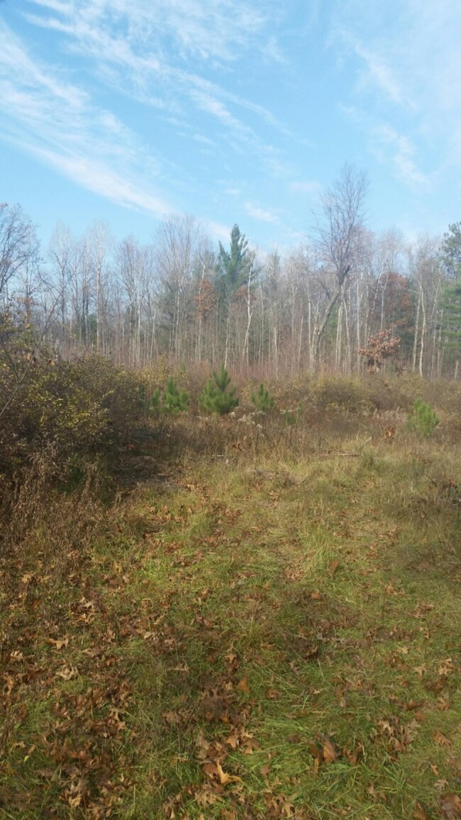 1821 W Warren Rd, Bitely, MI 49309 - photo 6