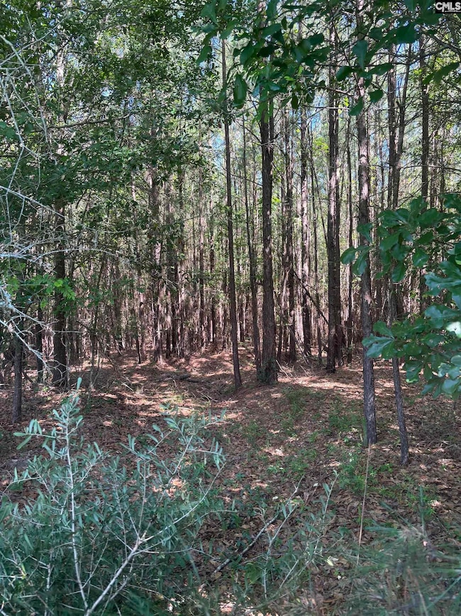 0 Black River Rd, Rembert, SC 29128 - photo 4