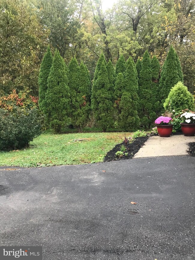 3 Dove Ln, Royersford, PA 19468 - photo 5