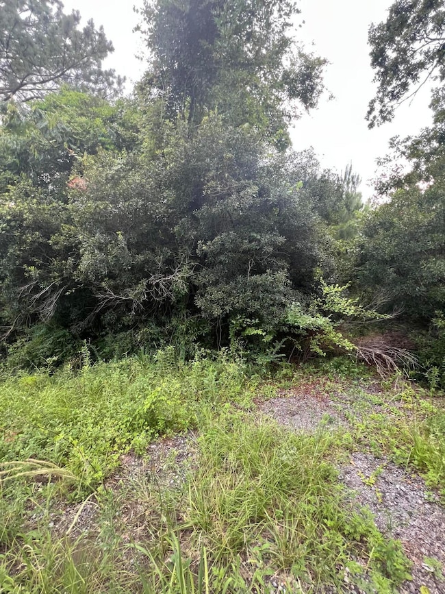 45 Partridge Rd, Kingstree, SC 29556 - photo 2