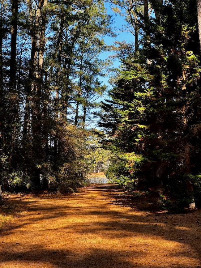 Lot 19 Folly Creek Club Ln unit 19, Accomac, VA 23301 - photo 2