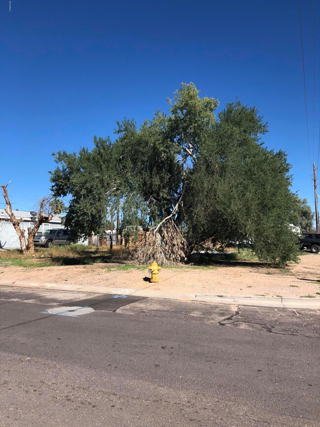 Corner Lot
