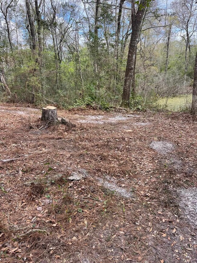 23 Emily Ln, Crawfordville, FL 32327 - photo 4