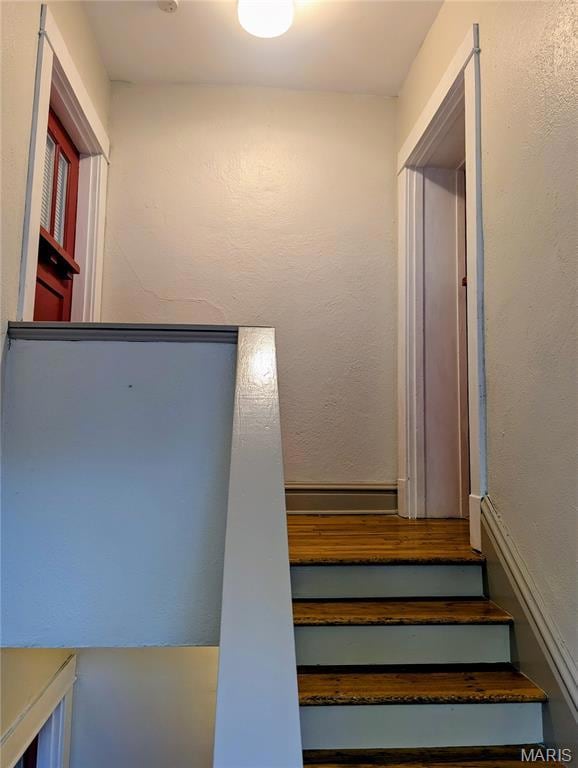 2039 Maury Ave, Saint Louis, MO 63110 - photo 3