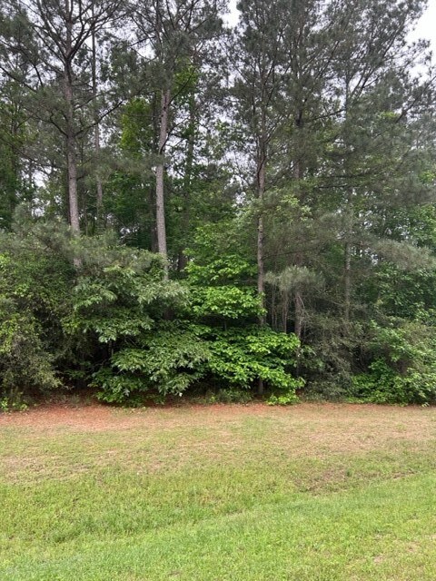 102 Ebner Lake Dr, Montgomery, TX 77316 - photo 4